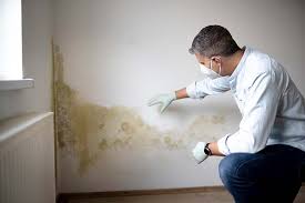  Bakersfield Country Clu, CA Mold Removal Services Pros